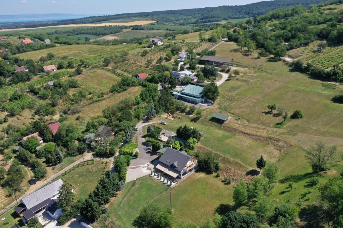 Borkuti Panzio Es Apartman Balatonszárszó Zewnętrze zdjęcie